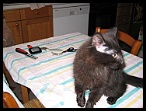 0071 8 juin